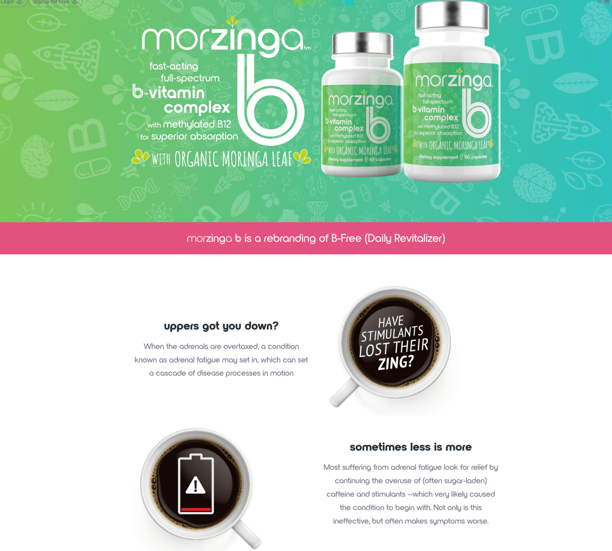 Morzinga B Vitamin B Complex 90ct Bottle w/ Organic Moringa - Lavender Hills Beautythinagain