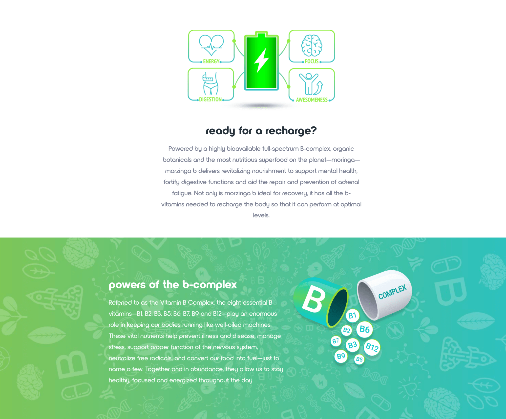 Morzinga B Vitamin B Complex 90ct Bottle w/ Organic Moringa - Lavender Hills Beautythinagain