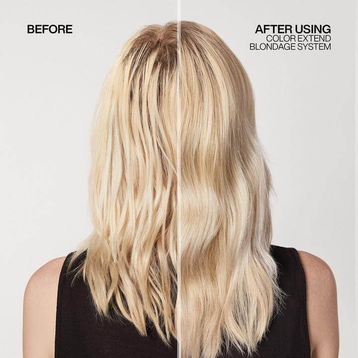 Color Extend Blondage Purple Shampoo | Redken - Lavender Hills BeautyRedkenP1998800