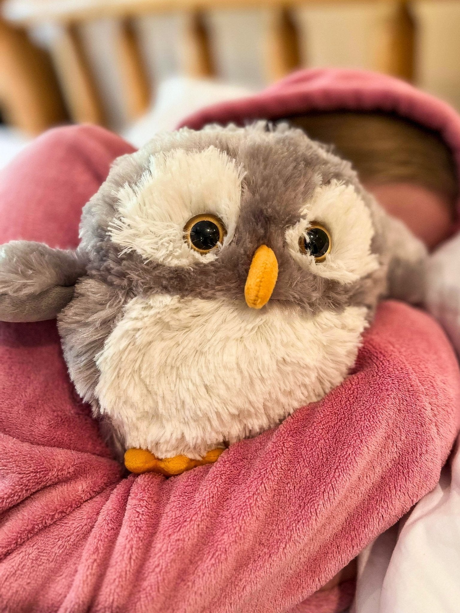 Owl warmies deals